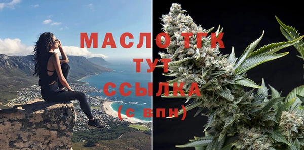 дживик Верхний Тагил
