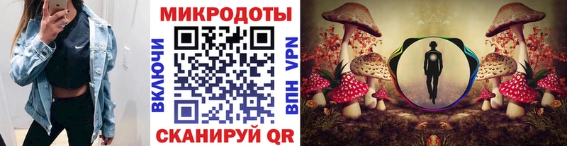 Галлюциногенные грибы Psilocybine cubensis Дюртюли